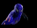 La Nueva intro para el canal The Spectacular Spider-prime 