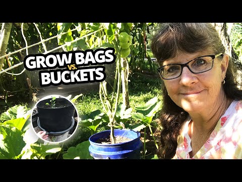 Are Grow Bags Safe? Grow Bag Pros And Cons - Epic Gardening