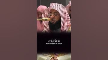 سورة الأحزاب بدر التركي #قرآن #قران_كريم #بدر_التركي #اكسبلور