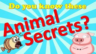 Fun Games ｜Quiz time｜#learnfast #polarbear #swift #doyouknow #challenge #quiz #secret #animals