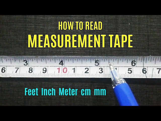 Pocket Pro Mini Tape Measure / Key Chain