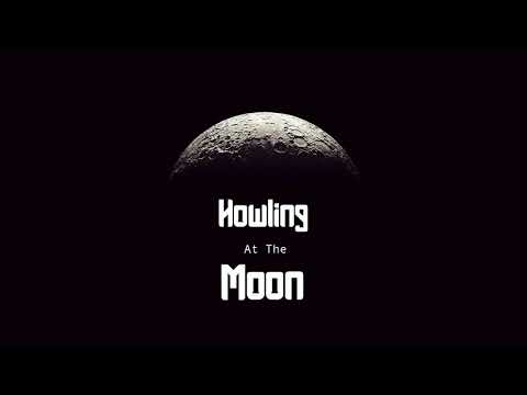 Howling At The Moon TOMER KATZ Ft VIGZ 