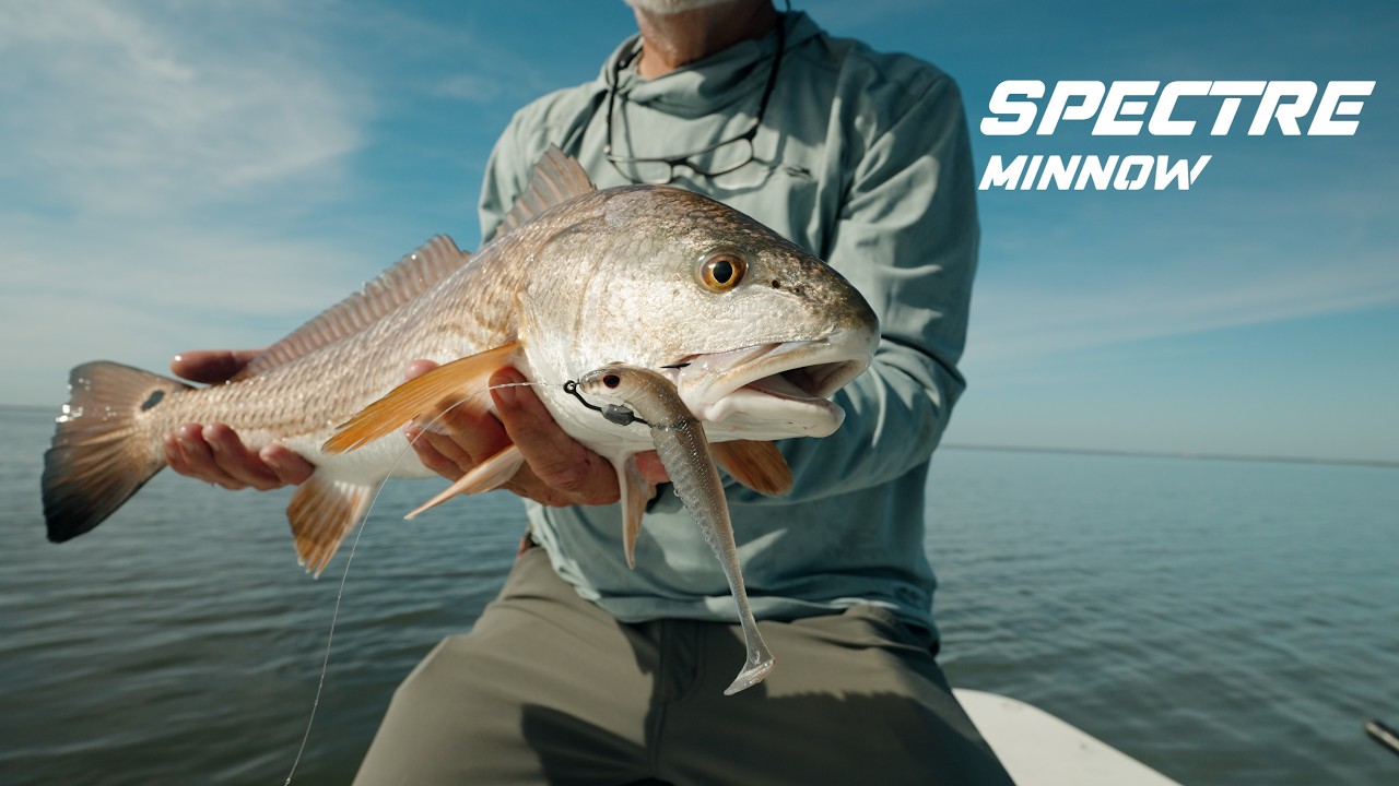Nomad Live Ops Spectre Minnows Swimbaits – Tackle World
