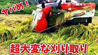 Kubota Er338 クボタの3条38馬力コンバインで刈り取りStar