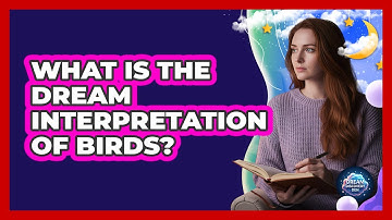 What Is The Dream Interpretation Of Birds?