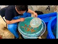 How does a koi breeder selectively breeds his fish  senbetsu dainichi koi farm japan