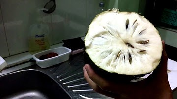 Mãng cầu dầm đường sữa, đá