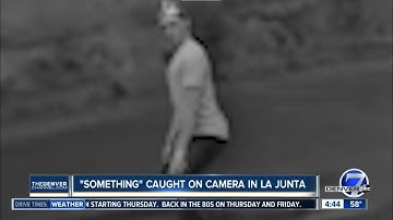 "Alien" caught on camera in La Junta [Jerma Green Screen]