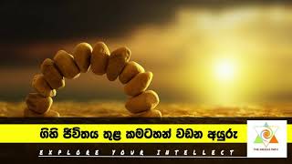 the middle path #ගිහි ජීවිතය තුල සිට කමටහන් වඩන ආකාරය.  *මැද මාවත*