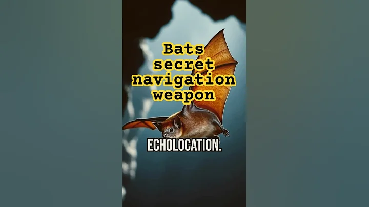 Bat's Sonic Symphony-Discover bats' secret navigation weapon ! #Echolocation #Bats #NatureFacts