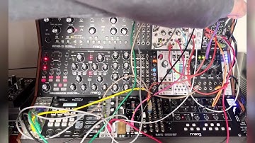 Jamuary day 25 - Pamela’s Pro Workout appreciation post