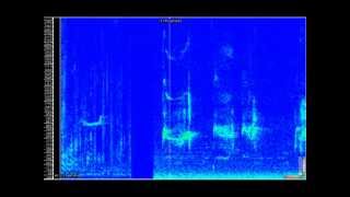MichiganVocals.mpeg