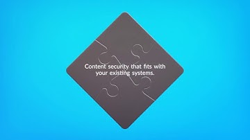 Security for Digital Video Sales