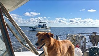 Intracoastal Waterway Georgia  South Carolina!