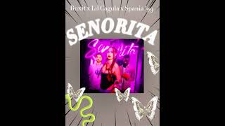 SENORITA- Ruxit x Lil Cagula x Spania ‘99
