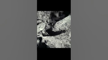 My Rescue Was A CANNIBAL TRAP! (Worst Revive Ever)