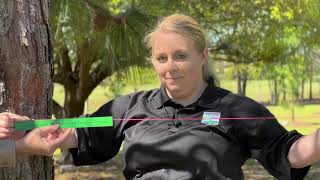Tree Measurements | An Educational Video & Activity
