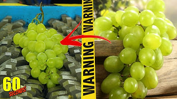 60 SECONDS Experiment - SHREDDING VS Grapes | CRASH TEST