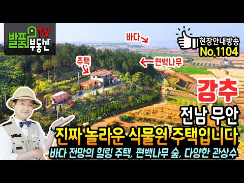 (강추) 진짜 전문가의 놀라운 식물원 주택입니다!! 전남 무안 전원주택 토지 매매 바다 전망의 편백나무 숲과 다양한 종류의 관상수로 가득한 이쁜 주택 무안부동산 - 발품부동산TV