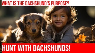 Unlock the Dachshund's Prey Drive: Hunting Tips for Wiener Dogs