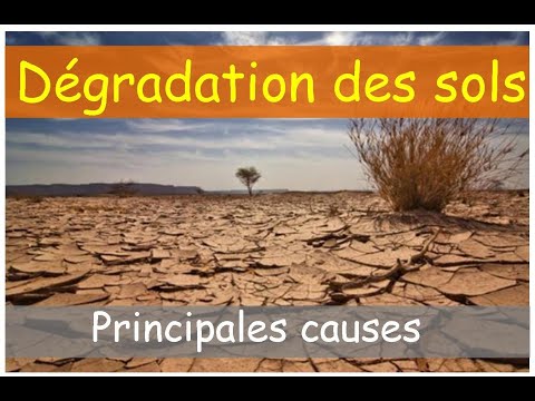 Vidéo: Quelles sont les causes d'un sol affaissé?