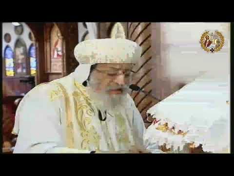 صلوات قداس ترقية ١١ مطران جديد 20 11 2022