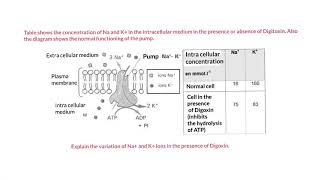 Grade 12 : 17 || Effect of Digoxin on the distribution of ions across the membrane of nerve cell ||