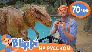 Блиппи Встречает Динозавра | Блиппи на русском
