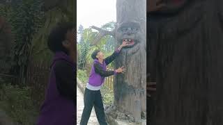 tangannya digigit pohon ajaib#shorts #lucu #viral