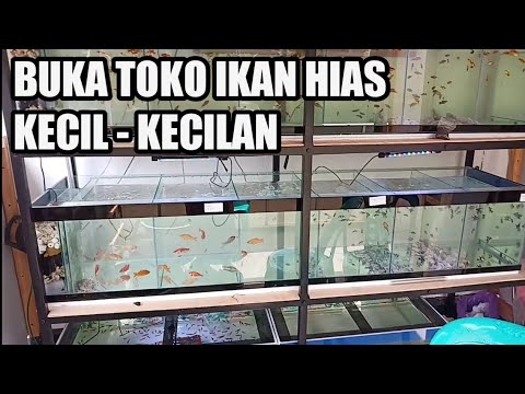 Video: Bagaimana Memulai Bisnis Akuarium