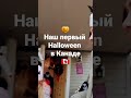 Как проходит Halloween в Канаде