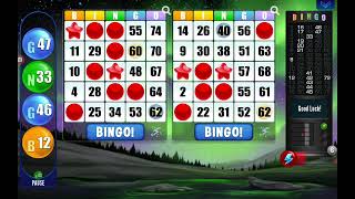 Bingo Game 🎮💓 Super Fun Game 😀💞
