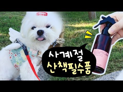 사계절 강아지 산책필수품 / 모기퇴치제 / 강아지 산책 전 준비물 / 천연아로마 해충방지 스프레이 / 강아지 용품 추천 / 독샤워 / 말티즈 / maltese / マルティズ