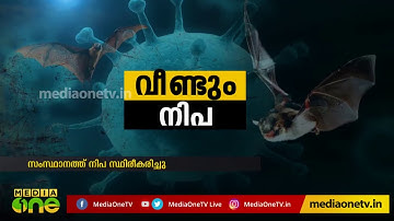 വീണ്ടും നിപ; തൃശ്ശൂരില്‍ ആറ് പേര്‍ നിരീക്ഷണത്തില്‍ Nipah Virus