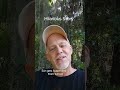 Funny Story about My Son getting Suspended from School. The Swamp Joker is here for your Pleasure.