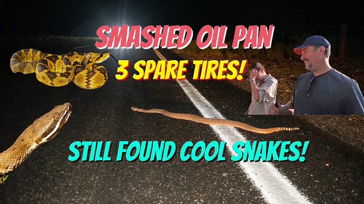 The most EPIC AZ snake trip!