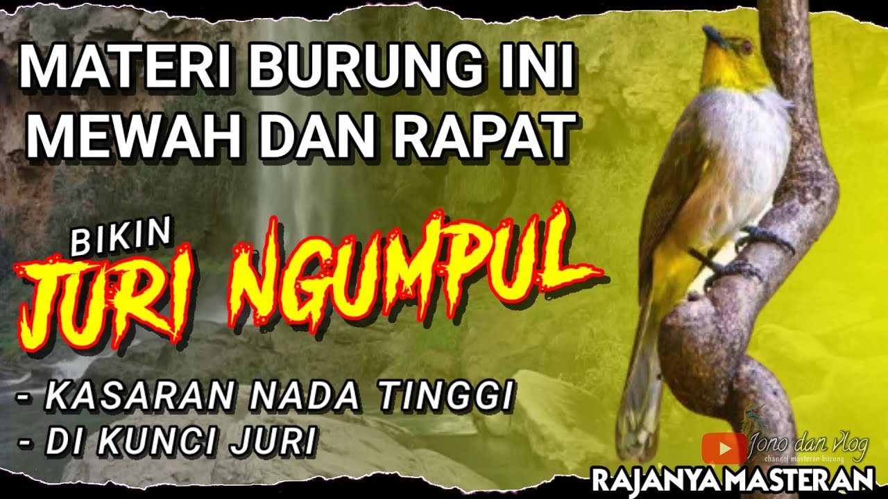 BIKIN JURI NGUMPUL!! Masteran Kasaran Nada TINGGI - MASTERAN Tembakan RAPAT Untuk BURUNG LOMBA