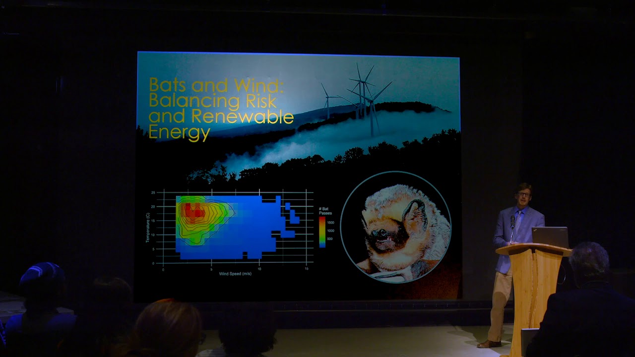 Bats & Wind Turbines: Smart Curtailment Strategies for Clean Energy