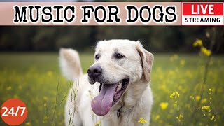 [LIVE] Dog Music?Dog Relaxation Music?Soothing & Calming Music for Separation Anxiety?Dog TV