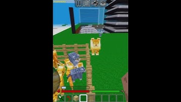 Cat Land #cats #cat #viral #shorts #multicraft #willokmulticraft