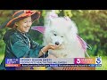 Spooky season safety tips to keep pets safe and healthy on Halloween