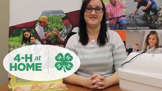 Egg to Chick Day 1 - 4-H at Home screenshot 3