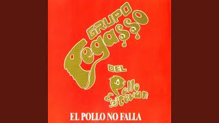 Video thumbnail of "Grupo Pegasso - La Vi Llorar"