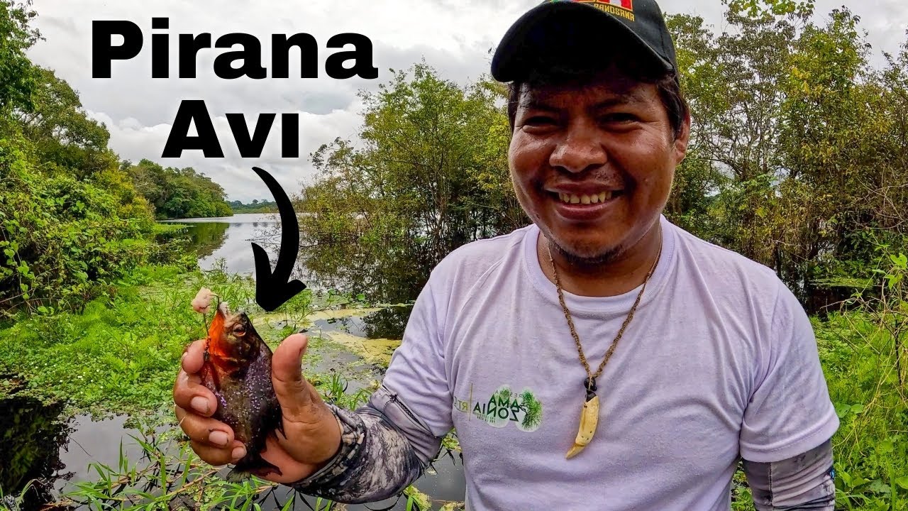 Охота на пираний в Амазонке! Опасная река Амазонка!