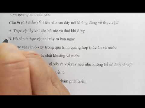 Đề thi khoa học lớp 4 cuối kì 2 | Đề thi môn Khoa học cuối học kì 2, năm học 2020-2021, lớp 4