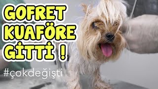 Gofret Kuaföre Gitti Çok Değişti