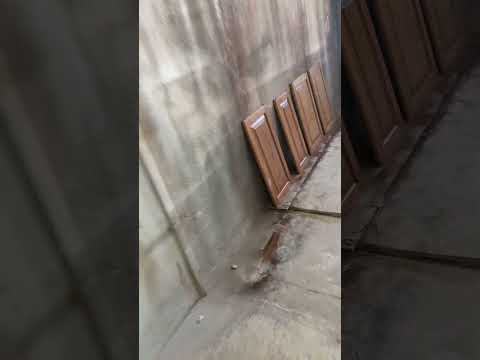 مطبخ بلوط صولد