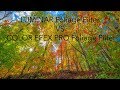 Color Efex Pro Foliage Filter vs Luminar Foliage Filter