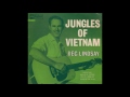 Reg lindsay  jungles of vietnam