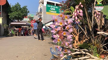 CHỢ BÁN TOÀN ĐỒ LẠ TÂY BẮC - CHỢ LAN RỪNG BẮC HÀ  P4